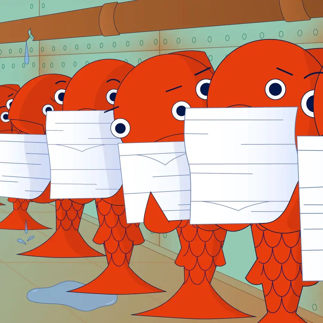 KOI — animation by Studio Poink