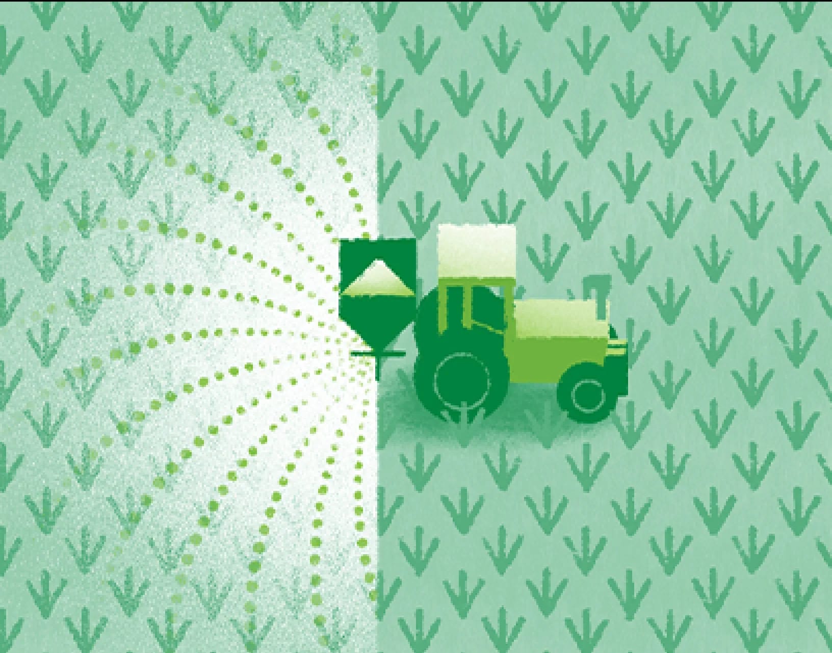 Haifa Multicote — animation by Studio Poink